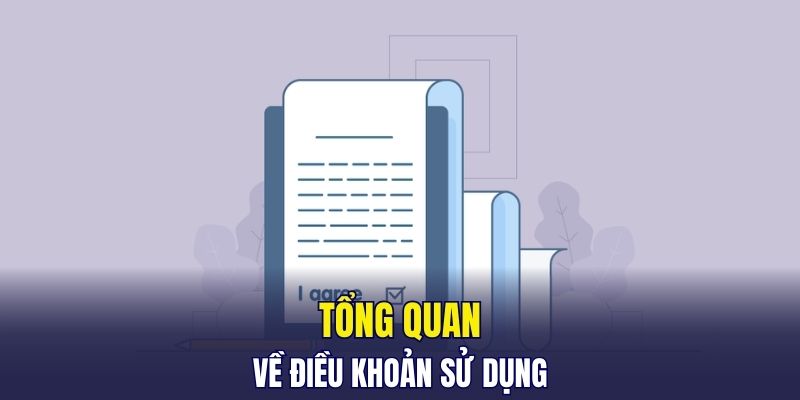 Tổng quan về điều khoản sử dụng